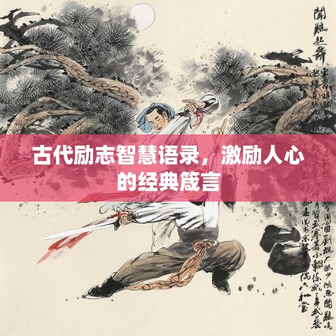 华夏宏图官方网站下载跟苹果版本,适用解析计划方案&amp;限量款_v6.442