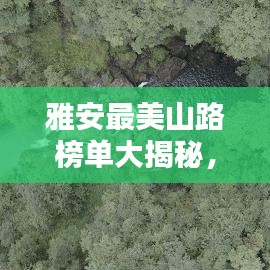 雅安最美山路榜单大揭秘，最新排名一网打尽