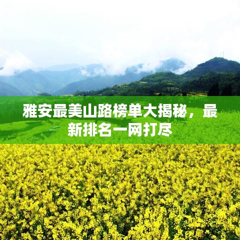 雅安最美山路榜单大揭秘,最新排名一网打尽