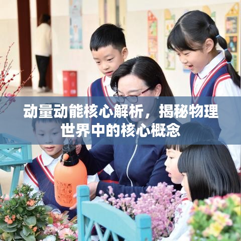 动量动能核心解析，揭秘物理世界中的核心概念