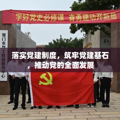 落实党建制度，筑牢党建基石，推动党的全面发展