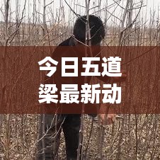 今日五道梁最新动态速递