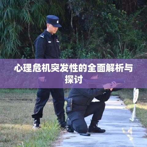 心理危机突发性的全面解析与探讨