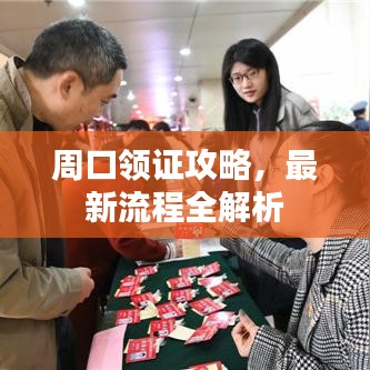 周口领证攻略,最新流程全解析