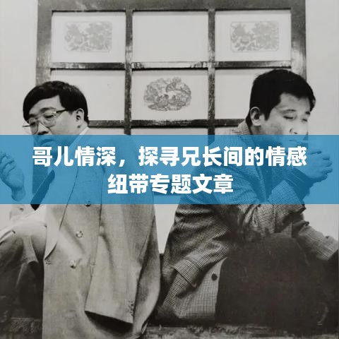 哥儿情深，探寻兄长间的情感纽带专题文章