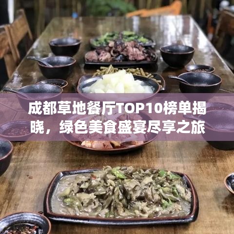 成都草地餐厅TOP10榜单揭晓,绿色美食盛宴尽享之旅