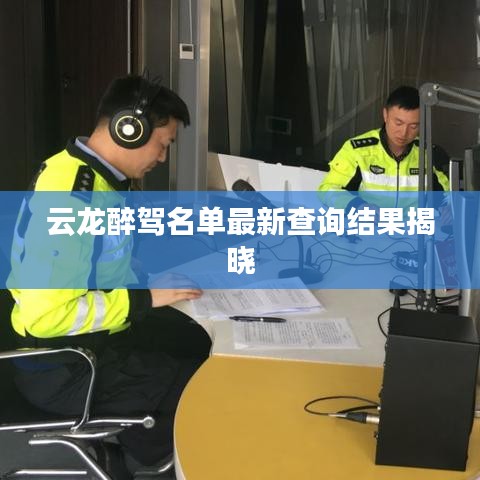 云龙醉驾名单最新查询结果揭晓