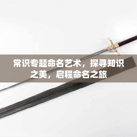 崇阳棋牌官方下载与梦幻神界激活码礼包，可持续发展探索入门版指南