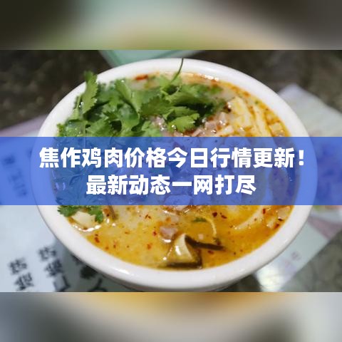 焦作鸡肉价格今日行情更新！最新动态一网打尽