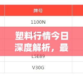塑料行情今日深度解析,最新市场报告出炉!
