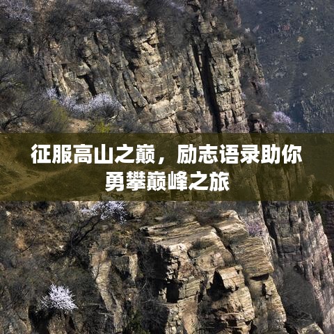 征服高山之巅，励志语录助你勇攀巅峰之旅