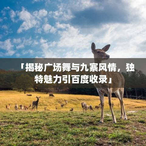 「揭秘广场舞与九寨风情，独特魅力引百度收录」