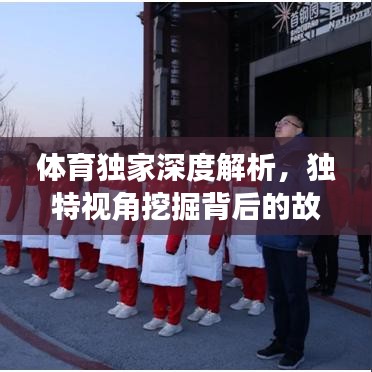 体育独家深度解析，独特视角挖掘背后的故事