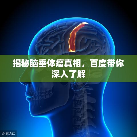 揭秘脑垂体瘤真相，百度带你深入了解