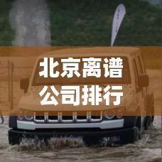 北京离谱公司排行榜揭秘，探寻背后的传奇故事
