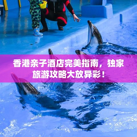 香港亲子酒店完美指南,独家旅游攻略大放异彩!