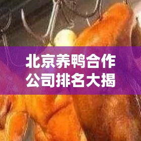 北京养鸭合作公司排名大揭秘,权威榜单不容错过!