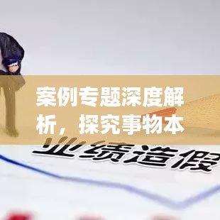 案例专题深度解析,探究事物本质与解决方案研究