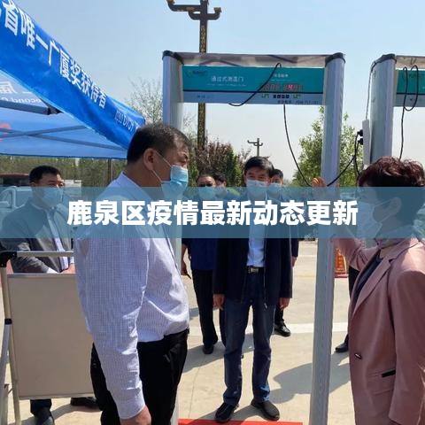 鹿泉区疫情最新动态更新
