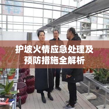 护坡火情应急处理及预防措施全解析