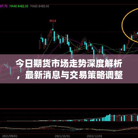 今日期货市场走势深度解析，最新消息与交易策略调整