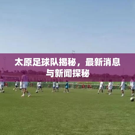 太原足球队揭秘,最新消息与新闻探秘