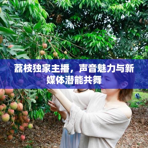 荔枝独家主播，声音魅力与新媒体潜能共舞