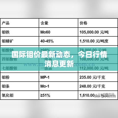 国际钼价最新动态，今日行情消息更新