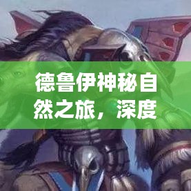 德鲁伊神秘自然之旅，深度攻略探寻自然之道