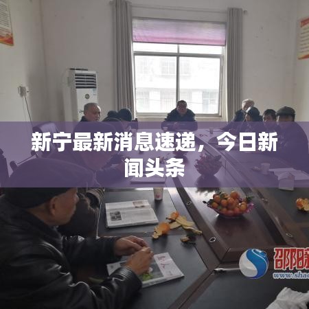 新宁最新消息速递，今日新闻头条