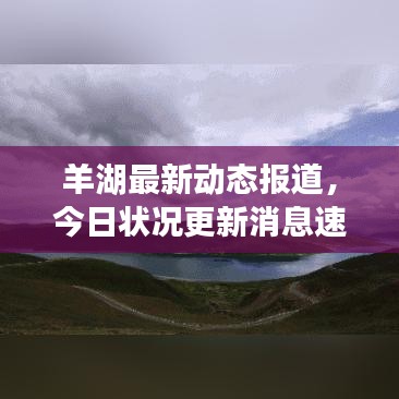 羊湖最新动态报道，今日状况更新消息速递