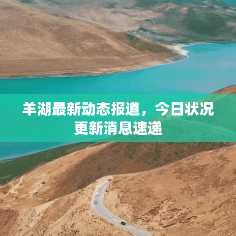 羊湖最新动态报道,今日状况更新消息速递