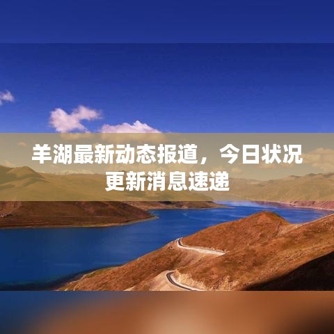 羊湖最新动态报道,今日状况更新消息速递