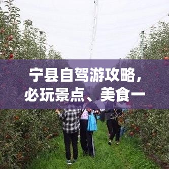 宁县自驾游攻略，必玩景点、美食一网打尽！