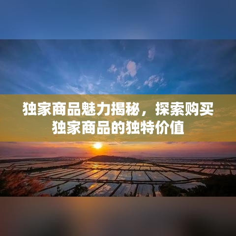 独家商品魅力揭秘，探索购买独家商品的独特价值