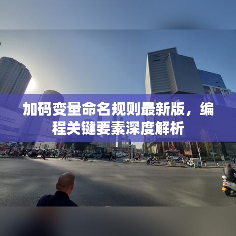 加码变量命名规则最新版，编程关键要素深度解析