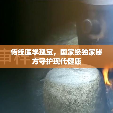 六鹢退飞 第5页