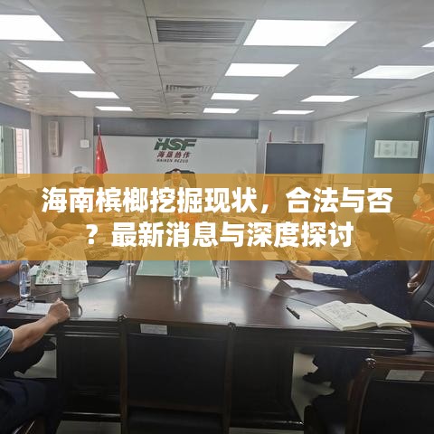 海南槟榔挖掘现状,合法与否?最新消息与深度探讨