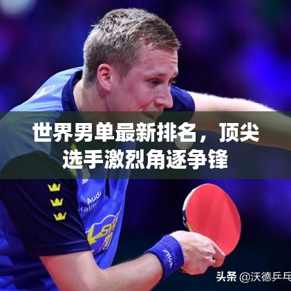 布衣蔬食 第6页