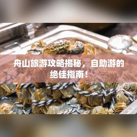 舟山旅游攻略揭秘，自助游的绝佳指南！