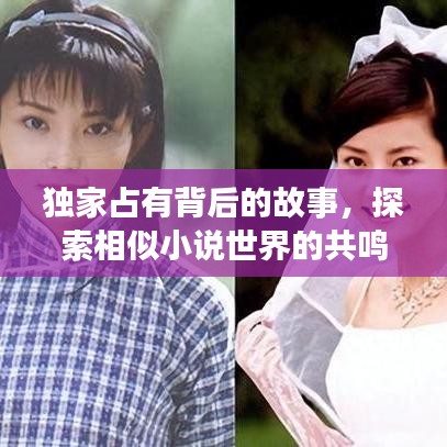 独家占有背后的故事，探索相似小说世界的共鸣之旅