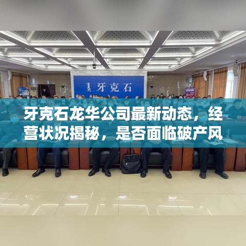 牙克石龙华公司最新动态，经营状况揭秘，是否面临破产风险？