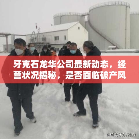 牙克石龙华公司最新动态,经营状况揭秘,是否面临破产风险?