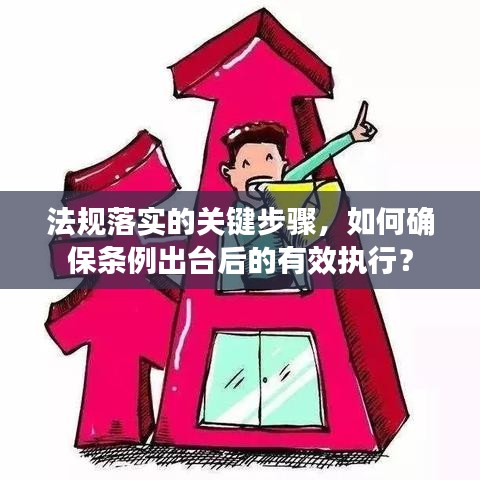法规落实的关键步骤,如何确保条例出台后的有效执行?