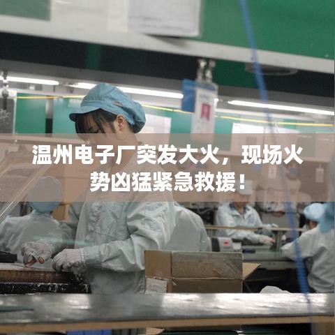 温州电子厂突发大火，现场火势凶猛紧急救援！