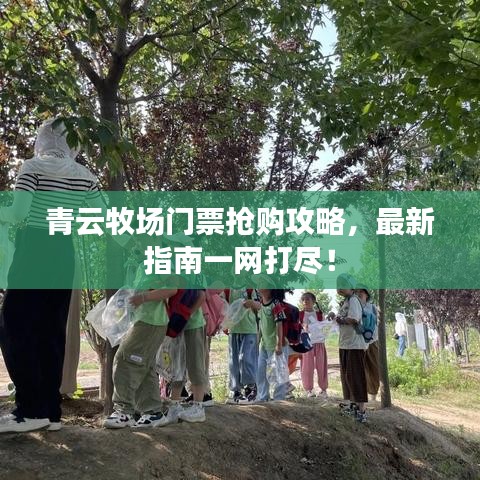 青云牧场门票抢购攻略，最新指南一网打尽！