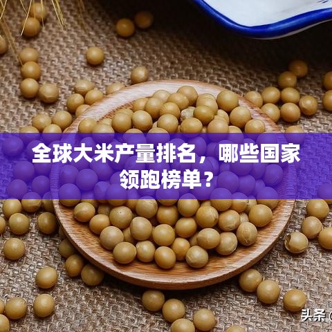 全球大米产量排名,哪些国家领跑榜单?
