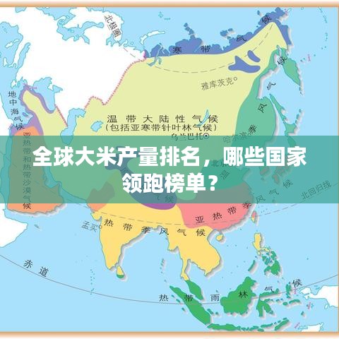 全球大米产量排名,哪些国家领跑榜单?