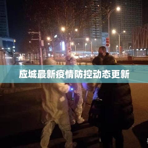 应城最新疫情防控动态更新