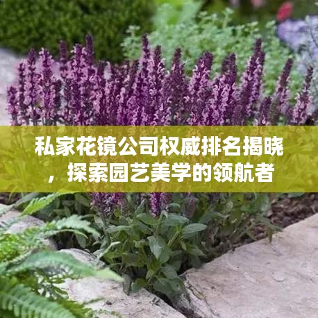 私家花镜公司权威排名揭晓，探索园艺美学的领航者